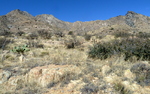 photo thumbnail #4