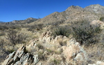 photo thumbnail #7