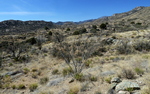 photo thumbnail #10