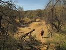 photo thumbnail #2