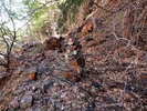 photo thumbnail #5