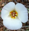 photo thumbnail #14