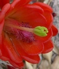 photo thumbnail #15