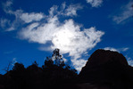 photo thumbnail #15