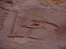 photo thumbnail #14