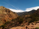 photo thumbnail #6
