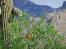 photo thumbnail #1
