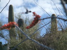 photo thumbnail #5