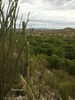 photo thumbnail #2