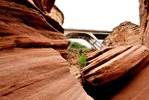 photo thumbnail #12