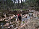 photo thumbnail #2