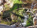 photo thumbnail #14