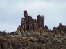 photo thumbnail #4
