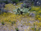 photo thumbnail #15