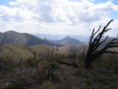 photo thumbnail #6