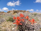 photo thumbnail #6