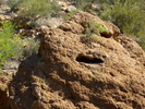 photo thumbnail #5