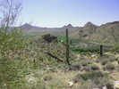 photo thumbnail #12