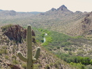 photo thumbnail #13