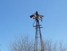photo thumbnail #15