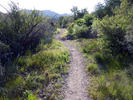 photo thumbnail #12