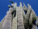 photo thumbnail #14