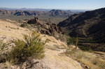 photo thumbnail #5
