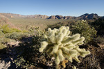 photo thumbnail #9