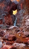 photo thumbnail #12