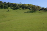 photo thumbnail #8