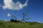 photo thumbnail #10