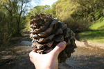 photo thumbnail #12