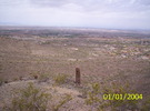 recent photo