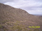 recent photo
