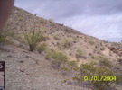 recent photo