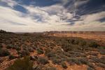 photo thumbnail #14