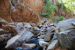 photo thumbnail #11