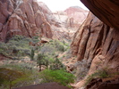 photo thumbnail #15