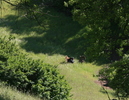 photo thumbnail #7