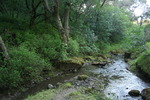 photo thumbnail #14