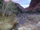 photo thumbnail #14