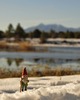 photo thumbnail #4