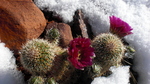 photo thumbnail #3