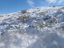 photo thumbnail #11