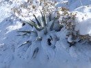 photo thumbnail #13