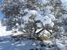 photo thumbnail #14
