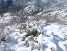 photo thumbnail #15