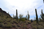 photo thumbnail #2