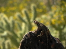 photo thumbnail #3