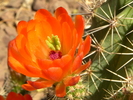 photo thumbnail #7